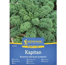 Kiepenkerl Kapitan Varză roșie semințe