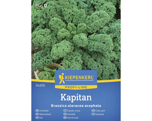 Kiepenkerl Kapitan Varză roșie semințe