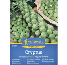 Semințe de varză de Bruxelles Kiepenkerl Cryptus