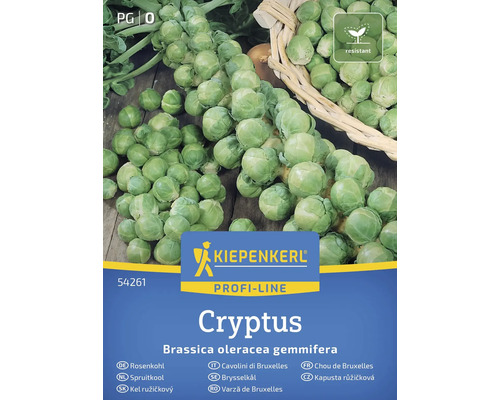 Semințe de varză de Bruxelles Kiepenkerl Cryptus
