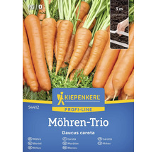 Semințe de morcovi marca Kiepenkerl