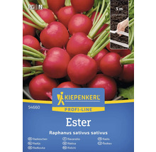 Kiepenkerl Profi-Line Ridichi Ester pachet de semințe