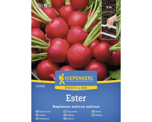 Semințe legume Kiepenkerl ridiche Ester Kiepenkerl Profi-Line Ridichi Ester pachet de semințe