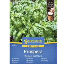 Pachet de plante de busuioc Kiepenkerl Prospera cu cinci plante