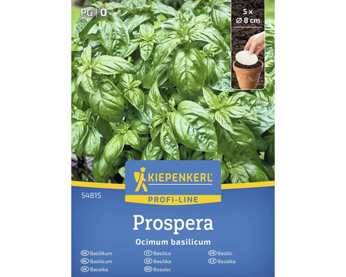 Semințe de busuioc Kiepenkerl Prospera Pachet de plante de busuioc Kiepenkerl Prospera cu cinci plante
