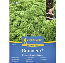 Semințe de pătrunjel marca Kiepenkerl, soiul Grandeur, rând de semănat de 5 metri