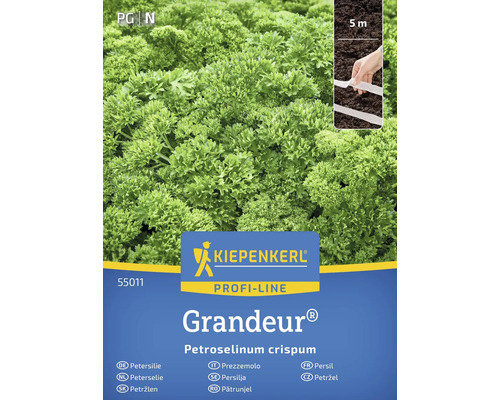 Semințe de pătrunjel marca Kiepenkerl, soiul Grandeur, rând de semănat de 5 metri