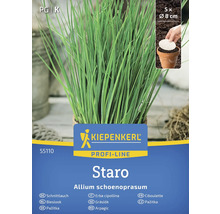 Kiepenkerl Staro plantă de arpagic în ghiveci