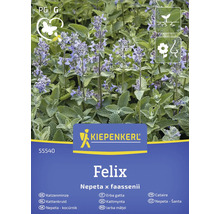 Kiepenkerl Felix Larba mâței, Nepeta x faassenii