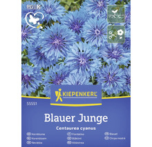 Pachet de semințe de albăstrea marca Kiepenkerl, soiul Blauer Junge