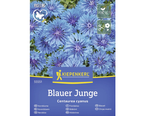 Semințe flori Kiepenkerl albăstrele Blauer Junge Pachet de semințe de albăstrea marca Kiepenkerl, soiul Blauer Junge