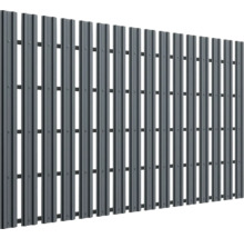 Gard metalic pentru împrejmuirea proprietății