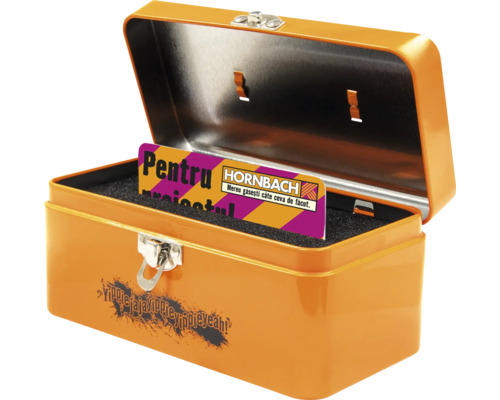 Cutie de scule metalică portocalie deschisă cu card Hornbach