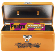 Cutie de scule metalică portocalie deschisă cu voucher Hornbach