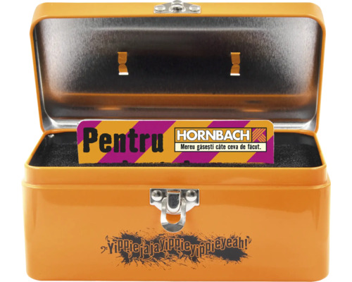 Cutie de scule metalică portocalie deschisă cu voucher Hornbach