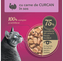 Hrană pentru pisici cu carne de curcan în sos.
