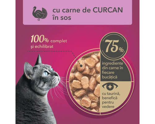 Hrană pentru pisici cu carne de curcan în sos.