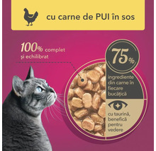 hrană pentru pisici cu carne de pui în sos, 100% completă și echilibrată, 75% ingrediente din carne în fiecare bucată, cu taurină, benefică pentru vedere