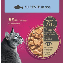 Imagine cu un pisoi gri cu ochii albaștri, lângă un text care menționează conținutul de pește în sos, 100% complet și echilibrat, 75% ingrediente din carne în fiecare bucățică și cu taurină, benefică pentru vedere.