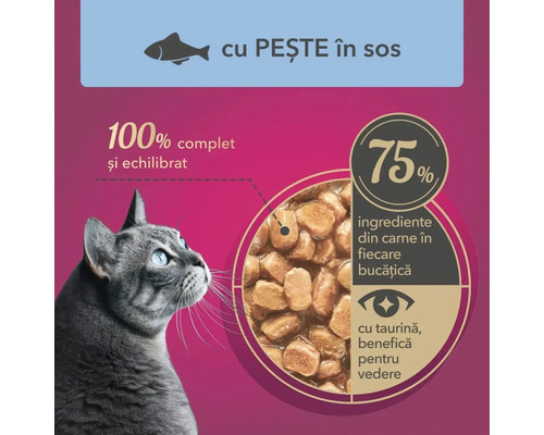Imagine cu un pisoi gri cu ochii albaștri, lângă un text care menționează conținutul de pește în sos, 100% complet și echilibrat, 75% ingrediente din carne în fiecare bucățică și cu taurină, benefică pentru vedere.