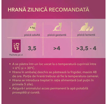 Recomandare de hrană zilnică pentru pisici