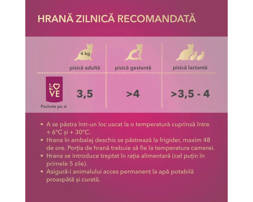 Recomandare de hrană zilnică pentru pisici