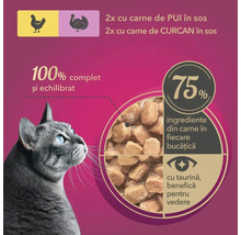 Hrană pentru pisici cu pui și curcan