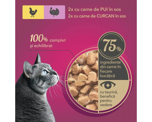 Hrană pentru pisici cu pui și curcan