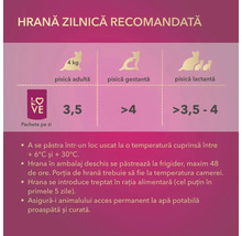 Rație zilnică recomandată de hrană pentru pisici, în funcție de tipul pisicii