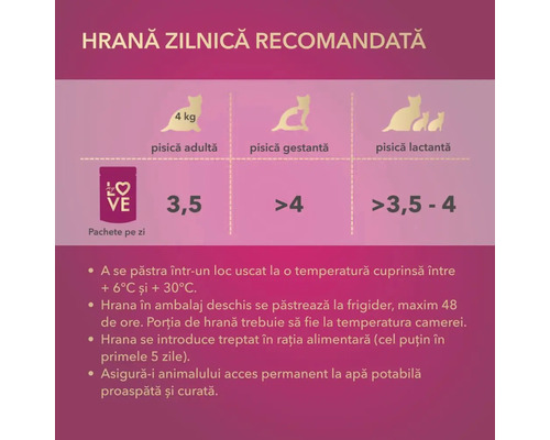 Rație zilnică recomandată de hrană pentru pisici, în funcție de tipul pisicii