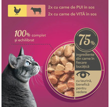 Imagine cu hrană pentru pisici cu carne de pasăre și vită în sos