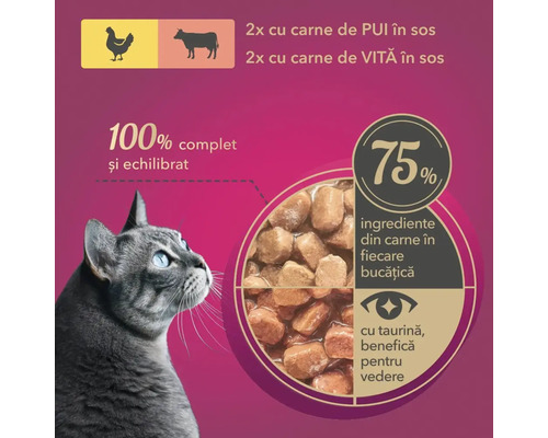 Imagine cu hrană pentru pisici cu carne de pasăre și vită în sos