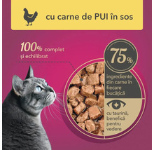 hrană pentru pisici cu rețetă de pui în sos