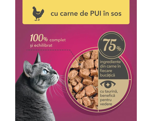 hrană pentru pisici cu rețetă de pui în sos