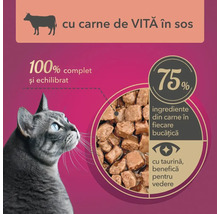 Hrană pentru pisici cu carne de vită în sos