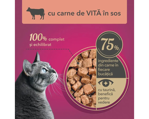 Hrană pentru pisici cu carne de vită în sos