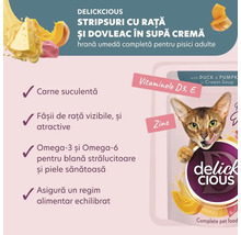 Delickcious hrană pentru pisici cu rață și dovleac în supă cremă