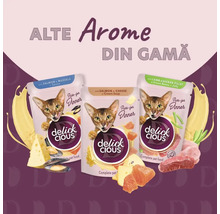 Trei pachete de hrană pentru pisici Delick Cious cu somon, brânză, miel, pui și legume
