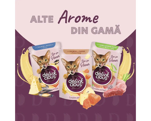 Trei pachete de hrană pentru pisici Delick Cious cu somon, brânză, miel, pui și legume