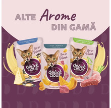 Trei pachete de hrană pentru pisici Delick Cious cu diferite arome