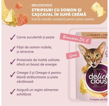 Delickcious hrană pentru pisici cu somon și brânză în supă cremă