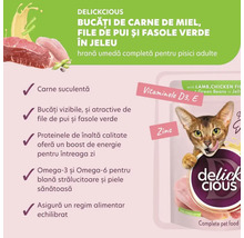 Hrană pentru pisici Delickcious cu miel, file de pui și fasole verde în jeleu