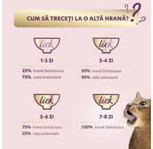 Instrucțiuni pentru schimbarea hranei cu recomandări de hrănire pentru pisici