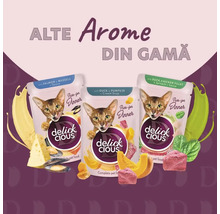 Trei pachete de hrană pentru pisici Delick Cious cu arome diferite