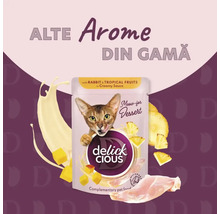 Delick Cious hrană pentru pisici cu iepure și fructe tropicale