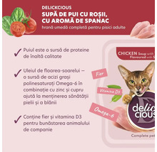 Delickcious supă de pui cu roșii și aromă de spanac, hrană umedă completă pentru pisici adulte, care conține fier, vitamina D3 și Omega 6
