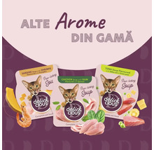 Trei pachete de supă pentru pisici Delick Cious cu sardine, pui și ton