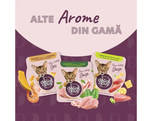 Trei pachete de supă pentru pisici Delick Cious cu sardine, pui și ton