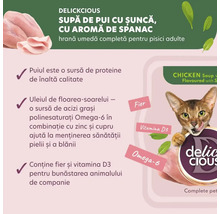 Delickcious supă de pui cu șuncă și aromă de spanac pentru pisici adulte