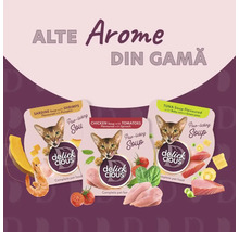 Trei pachete de supă pentru pisici Delick Cious în diferite arome